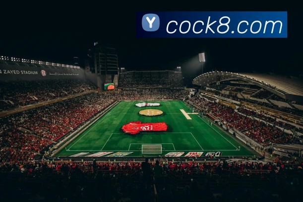 赛事专题整合
